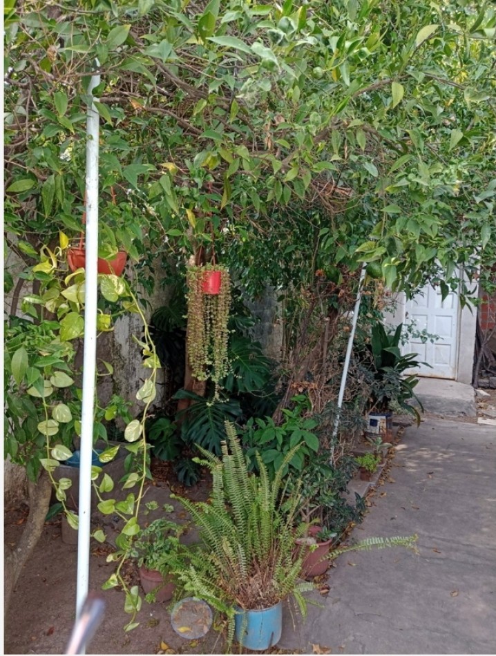 OPORTUNIDAD PH EN BERAZATEGUI